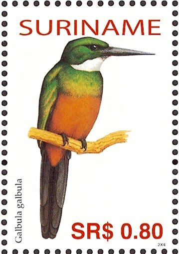 Green-tailed Jacamar    Galbula galbula
