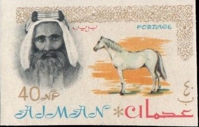 Sheik Rashid and Arabian Horse (Equus ferus caballus)
