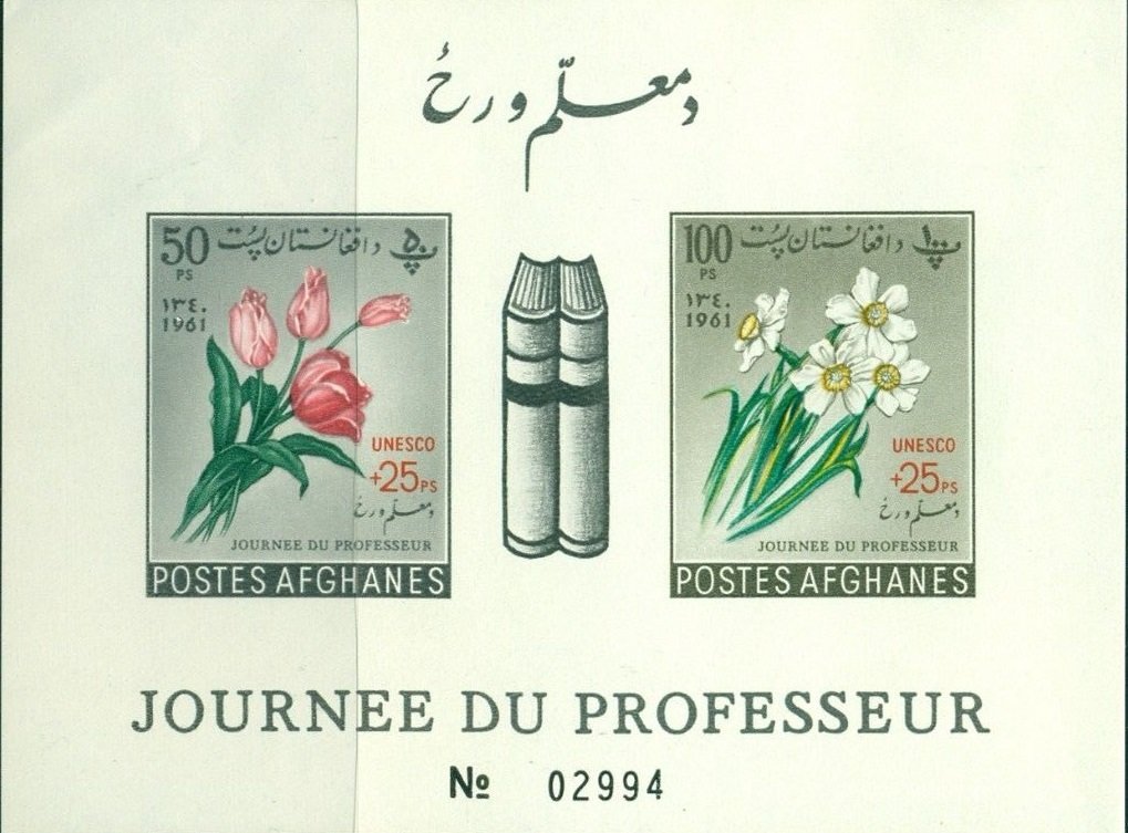 Tulips and Narcissus