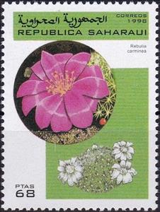 Stamp, Rebutia carminea, Cinderellas,  , Cacti, Plants (Flora)
