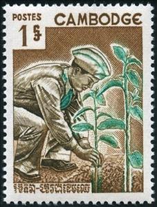 Stamp, Day of the tree, Cambodia,  , Agriculture, Trees