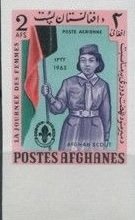 Girl with flag