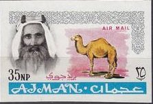 Sheik Rashid and Dromedary (Camelus dromedarius)