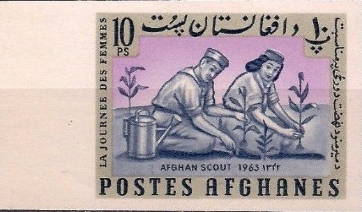 Scouts planting trees