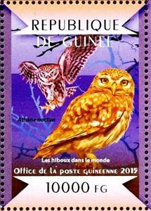 Stamp, Little Owl (Athene noctua), Guinea,  , Animals (Fauna), Birds, Birds of Prey, Owls