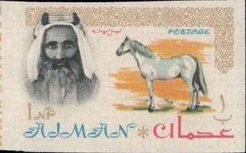 Sheik Rashid and Arabian Horse (Equus ferus caballus)