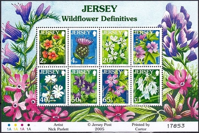 Wild Flowers