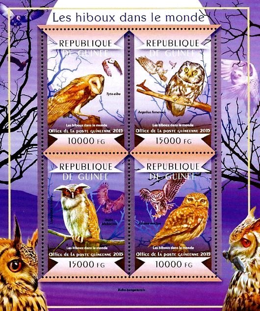 Owls