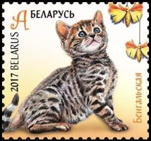 Stamp, Bengal, Belarus,  , Animals (Fauna), Cats, Mammals