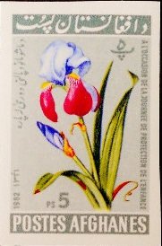 Iris