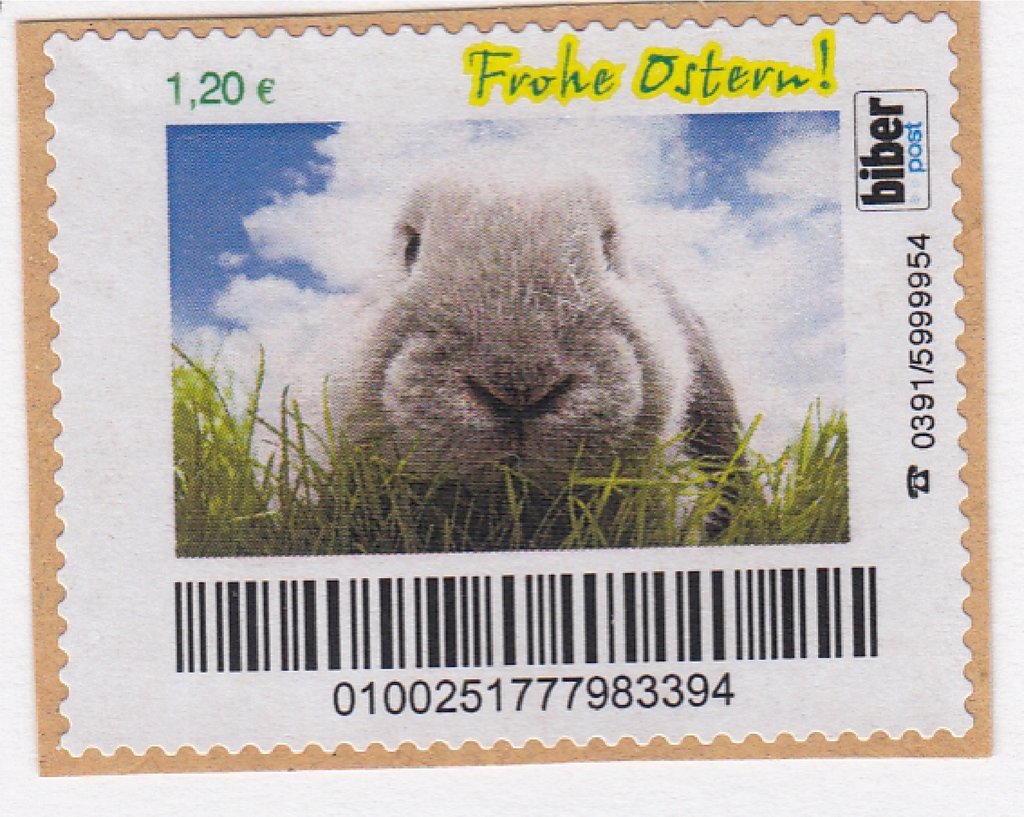 Rabbit (Oryctolagus cuniculus forma domestica) - Easter 2011