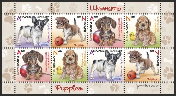 Puppies