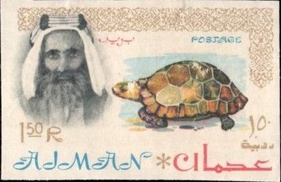 Sheik Rashid and Spur-thighed Tortoise (Testudo graeca)