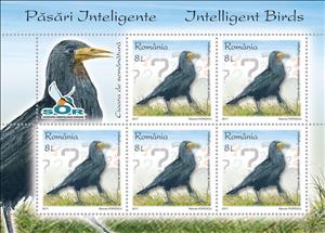Mini Sheet, Rook (Corvus frugilegus), Romania,  , Animals (Fauna), Birds