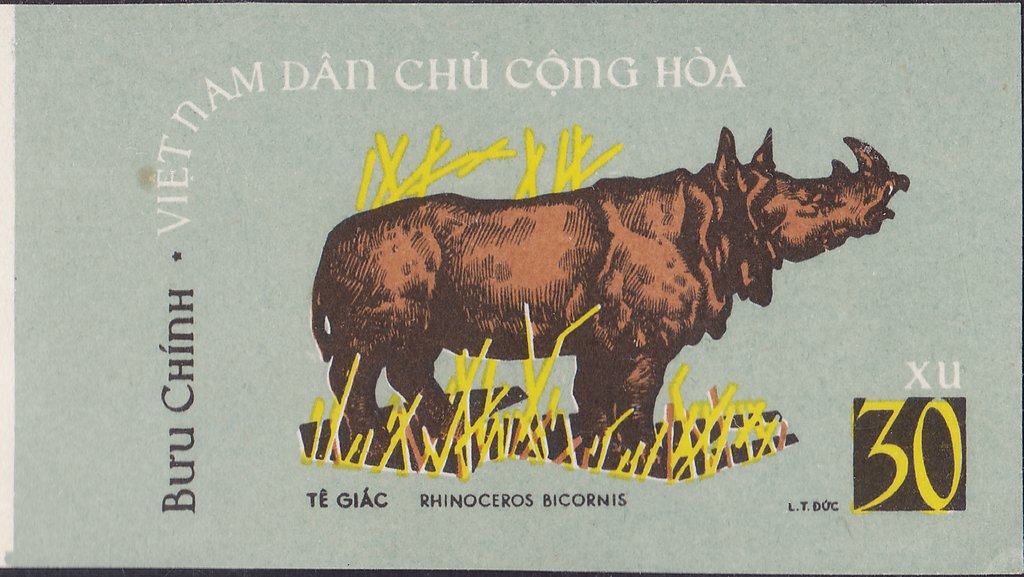 Sumatran Rhinoceros (Dicerorhinus sumatrensis)