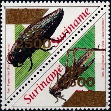 Euchroma gigantea & Conocephalus conocephalus (Overprinted)