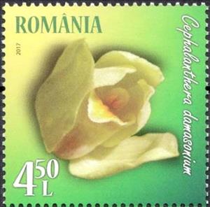 Stamp, White Helleborine (Cephalanthera damasonium), Romania,  , Flowers, Orchids, Plants (Flora)