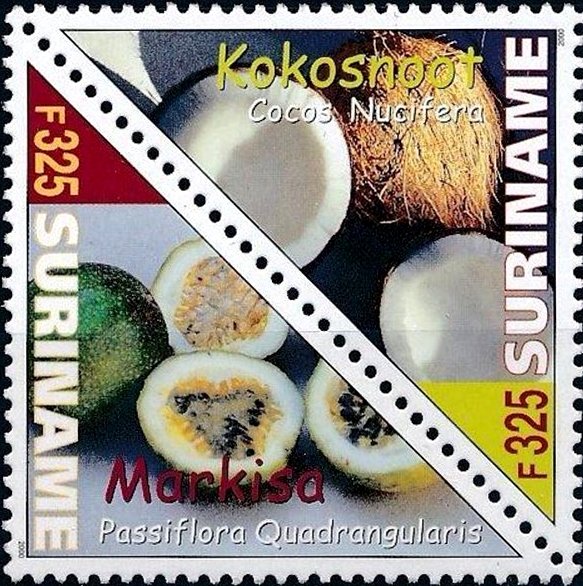Passion fruit & Coconut