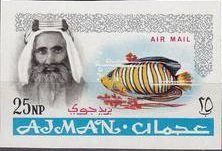 Sheik Rashid and Royal Angelfish (Pygoplites diacanthus)