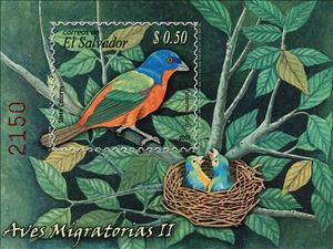 Souvenir Sheet, Painted Bunting (Passerina ciris), El Salvador,  , Animals (Fauna), Birds
