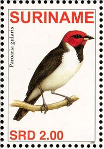 Stamp, Red-capped Cardinal    Paroaria gularis, Suriname,  , Birds