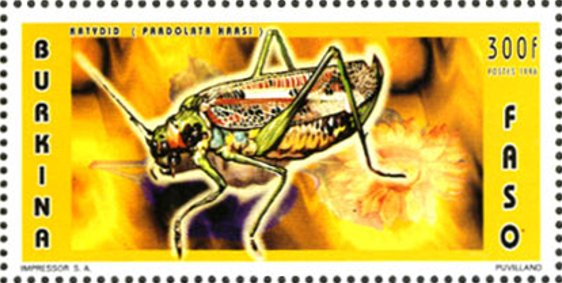 Stamp, Migratory Locust (Locusta migratoria), Burkina Faso,  , Animals (Fauna), Insects