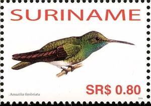 Stamp, Glittering-throated Emerald    Amazilia fimbriata, Suriname,  , Birds