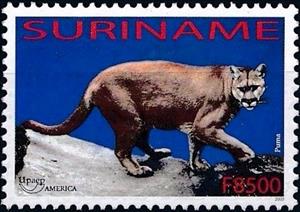 Stamp, Puma, Suriname,  , Animals (Fauna), Cats of Prey, Cougars, Mammals