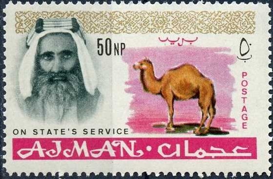 Sheik Rashid and Dromedary (Camelus dromedarius)
