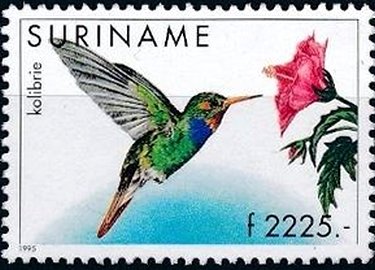 Stamp, Hylocharis sapphirina, Suriname,  , Animals (Fauna), Birds, Hummingbirds