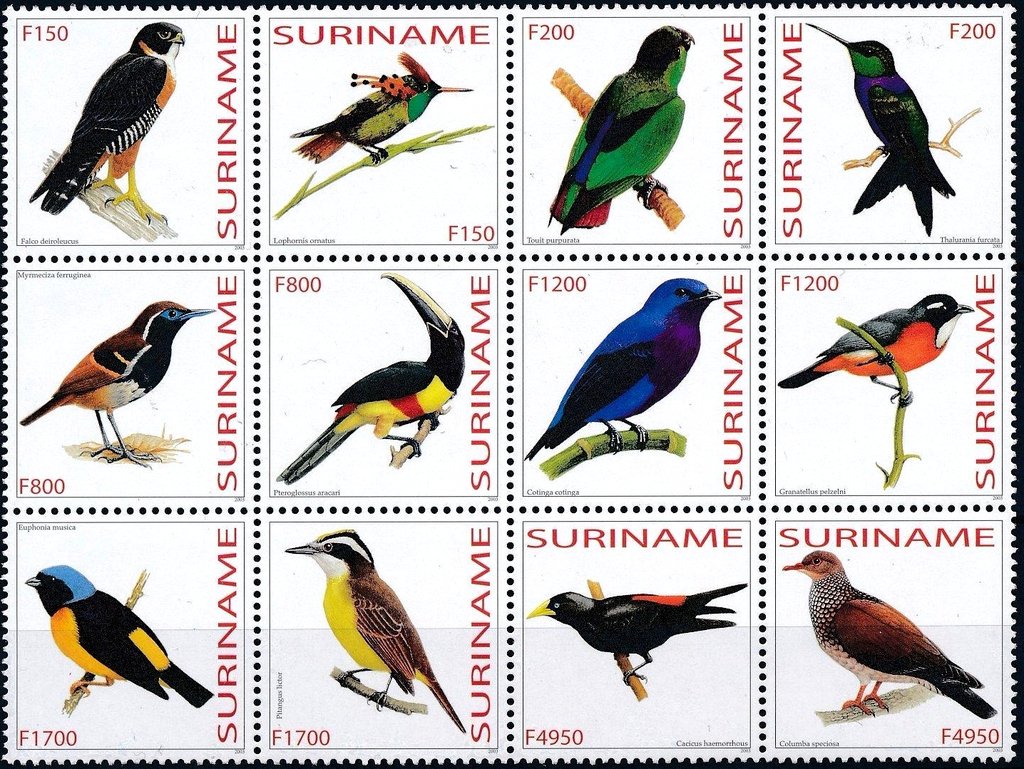 Birds Block