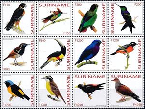 Mini Sheet, Birds Block, Suriname,  , Animals (Fauna), Birds, Birds of Prey, Falcons, Hummingbirds, Toucans