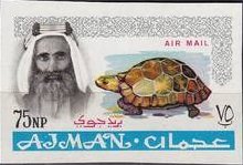 Sheik Rashid and Spur-thighed Tortoise (Testudo graeca)
