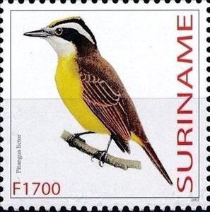 Stamp, Philohydor lictor, Suriname,  , Animals (Fauna), Birds