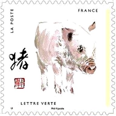 Pig