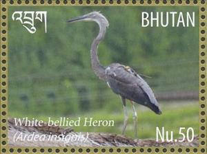 Stamp, White-bellied Heron (Ardea insignis), Bhutan,  , Animals (Fauna), Birds, Herons