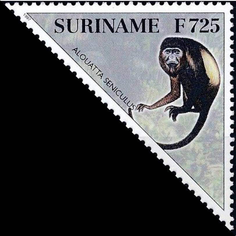 Alouatta seniculus
