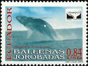 Stamp, Humpback Whale (Megaptera novaeangliae),, Ecuador,  , Animals (Fauna), Mammals, Sea (Marine) Mammals, Sea Life, Whales