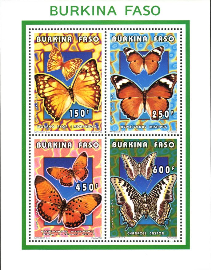 Butterflies