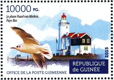 Black-headed Gull (Chroicocephalus ridibundus)