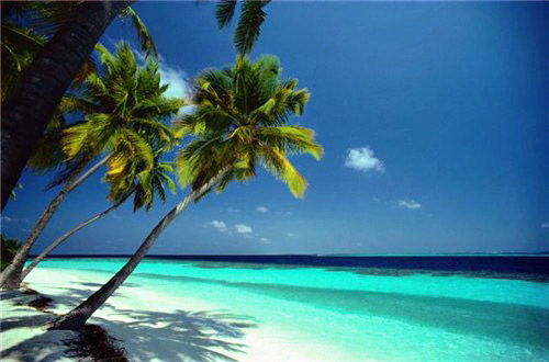 Beaches