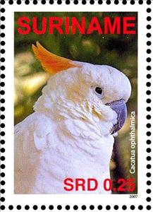 Stamp, Yellow-crested Cockatoo    Cacatua sulphurea, Suriname,  , Birds, Parrots