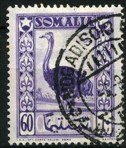 Stamp, Somali Ostrich (Struthio molybdophanes), Italian colonies, territories and occupations,  , Birds, Animals (Fauna)