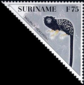 Stamp, Saguinus midas midas, Suriname,  , Animals (Fauna), Mammals, Monkeys, Triangle Stamps