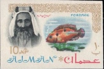 Sheik Rashid and African Jewelfish (Hemichromis bimaculatus)