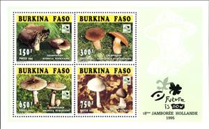 Mini Sheet, 18th Boy Scout Jamboree, Holland, Burkina Faso,  , Mushrooms