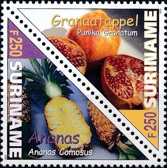 Pineapple & Pomegranate