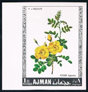 Stamp, Eglantier, Ajman,  , Flowers, Roses