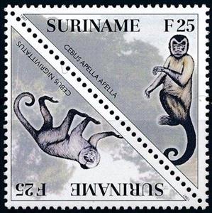 Se-tenant, Cebus nigrivittatus & Cebus apella apella, Suriname,  , Animals (Fauna), Mammals, Monkeys, Triangle Stamps