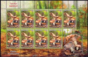Mini Sheet, Hydnum repandum, Belarus,  